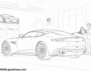Exclusivity and Ownership Experience: