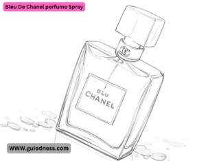 Bleu De Chanel perfume Spray