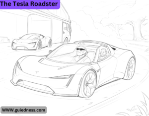 The Tesla Roadster
