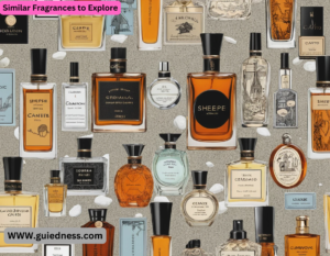 Similar Fragrances to Explore