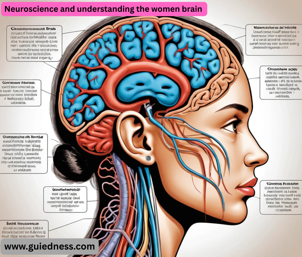 Neuroscience and understanding the women brain