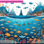 Ocean conservation and marine biology