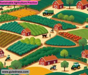 Sustainable Agriculture Practice