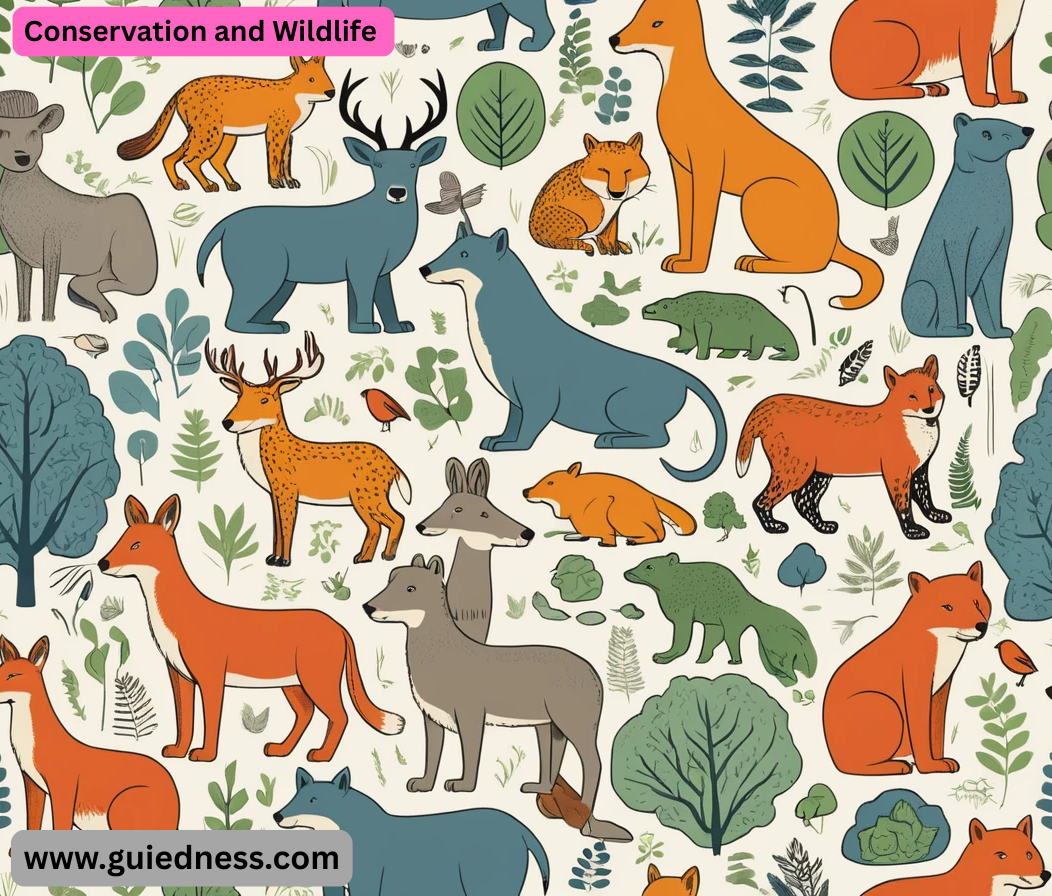 Conservation and Wildlife