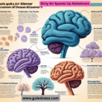 Dirty Air Speeds Up Alzheimers