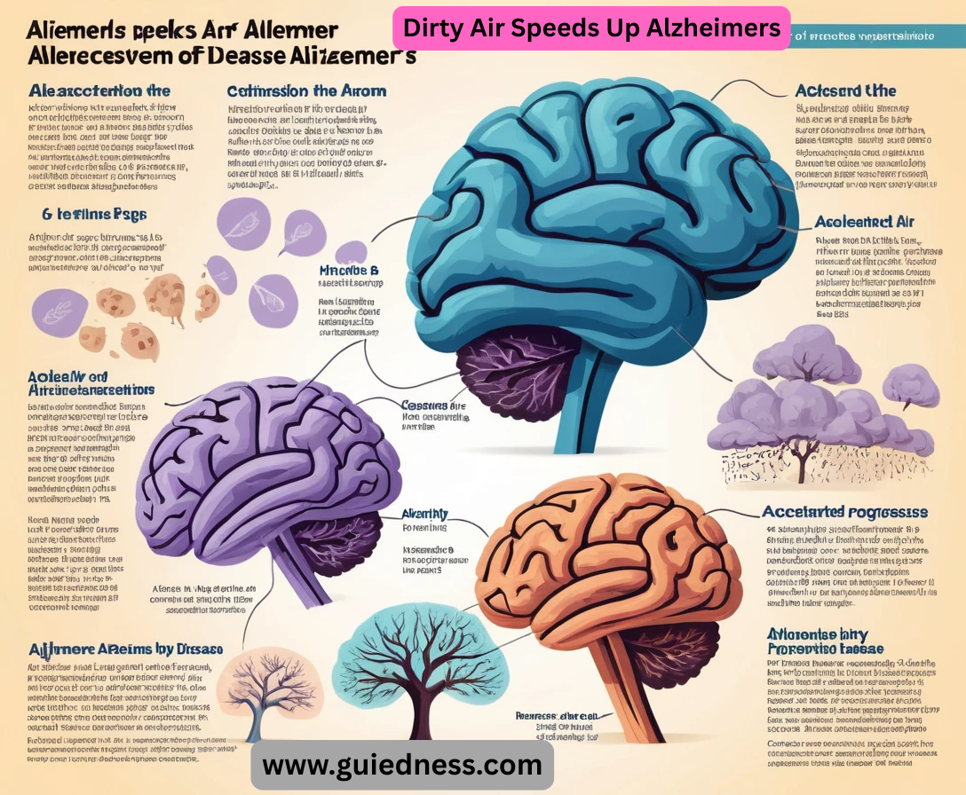 Dirty Air Speeds Up Alzheimers