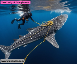 The Cruelty of Entanglement: